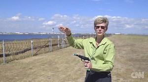 69K views · 678 reactions | There are about 14,000 bird strikes in...