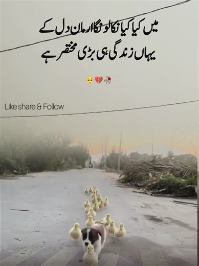 “Today’s vibes are unmatched 😍✨ Watch till the end 👀🔥 Don’t forget to like ❤️ share 🔄 and follow 🚀 #fyp #viral #trending #foryou #tiktokviral