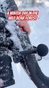 WILD BOAR HUNTING IN THE WINTER - My favourite hunt