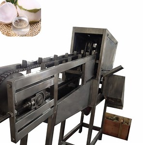 [Hot Item] Electric Coconut Half-Cutting Machine Automatic Coconut Water Extractor Machine