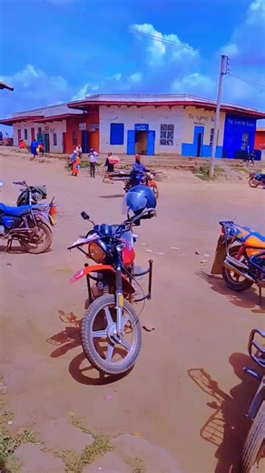 Exploring Fresh Produce in Nairagieen: Potatoes and More