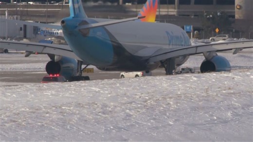 Growing safety concerns at CVG, nationally as bird strikes continue to rise