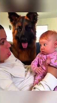 😂 Funniest Animal Moments That Will Make You Laugh Nonstop! 🐶🐱🐵