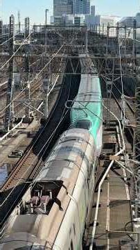 さよならL65編成 山形新幹線 E3系