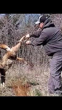 Brave man rescues exhausted coyote