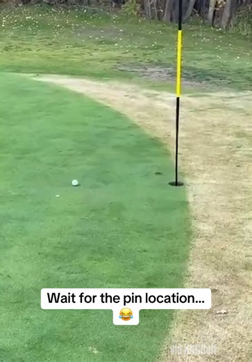 Golf is brutal 😂😂 #golf #viral #golftok #pgatour | Golf