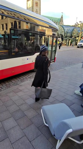 Funny Flight Attendant Reactions on TikTok