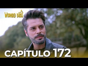 Omer Sueños Robados | Capítulo 172