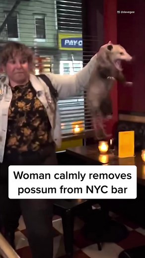 An Alaskan woman becomes a local celebrity and hero after calmly grabbing and removing a #possum that wandered into a #Brooklyn bar. #NYC