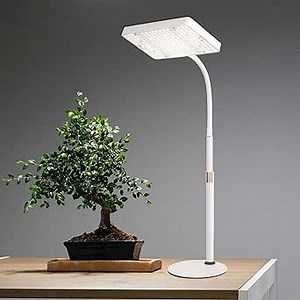 Desk Grow Light, Bright Tabletop Grow Lights for Seed Starting, Seedlings, Bonsai, 25 Watt Power Draw, NO Need Adapter, 16"-24" Height Adjustable, Daisy Chain Function