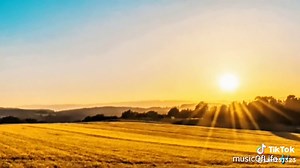 Unity - Alan Walker (Full Lyrics) | Music | Life | Love