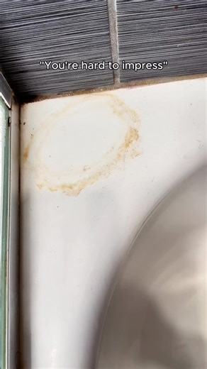 Nothing hits quite like a bleach wipe-down 🙌🧽 #clorox #bleach #satisfying #clean | Clorox