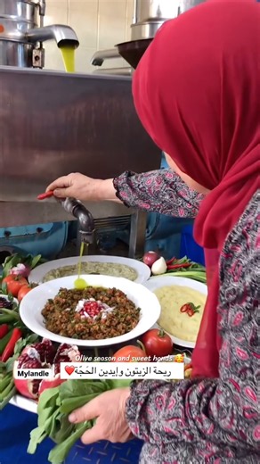 موسم الزيتون وايدين الحجة🇱🇧❤️OLIVE PICKING IN LEBANON