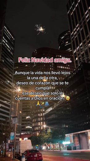 I miss you 😢 ✨✨✨✨✨✨✨✨✨✨✨🙏#2025#merryChristmas#frase #reflexion | feliz navidad amiga