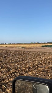 21K views · 322 reactions | Corn harvest 2021 | Delta Farms | Facebook