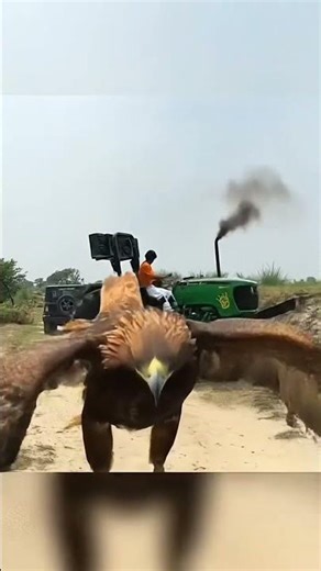 #automobile #thar #3dindianbikesdriving3dgameindianbikedriving #halloween #indianbikesdriving3dnew