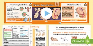 PSHE: UKS2 Growing Up - Lesson Pack 6