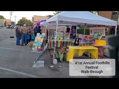 41st Annual Foothills Festival Albany KY Walk-through