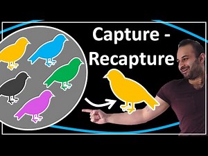 Capture - Recapture : Data Science Concepts
