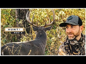 Big Buck Checks EVERY DOE In A Bedding Area, Rut Sit