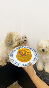 How to make a barkday pet cake for our furbabies? #petcake #barkday #barkdaypawty | Aesthetic Furmom