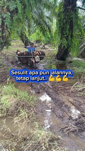 Jalan sulit bukan alasan untuk berhenti #sawit #hardwork