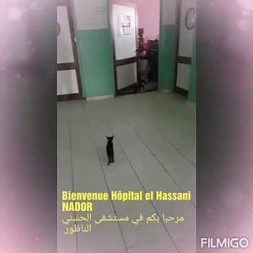 مستشفى الحسني بالناظور - hôpital el hassani nador