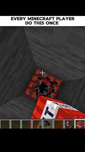 Every Minecraft Player Do this Once 😂😂 || #shorts #minecraft