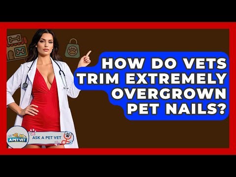 How Do Vets Trim Extremely Overgrown Pet Nails? - Ask A Pet Vet