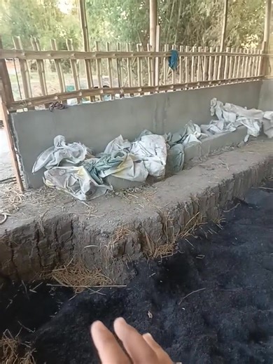 Day 9: Nagpapagawa tayo ng BABUYAN na walang tapon, walang amoy, walang langaw at MATIPID sa FEEDS gamit ang ZWaP Technology | Ano ang mga PROBLEMANG kinakaharap ng mga GUSTONG magsimulang magnegosyo ng BABUYAN na pangBackyard Farming? | Ano ang pwedeng SOLUSYON? Agri-Aralan BPA SuperMicrobes: https://ph.shp.ee/givvUHu | SirJuan Agriventure