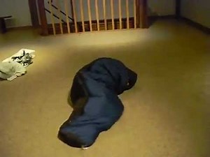 Emily vs. Mummy Sleeping Bag