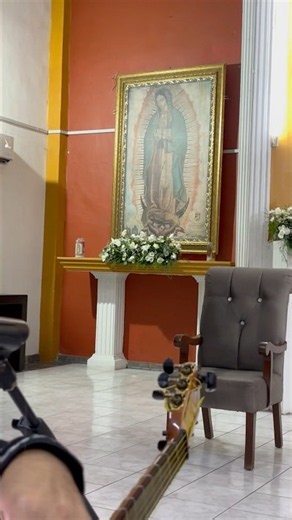 Buenos días, Paloma blanca 🙏🎺 Una tradición con mariachi 🇲🇽