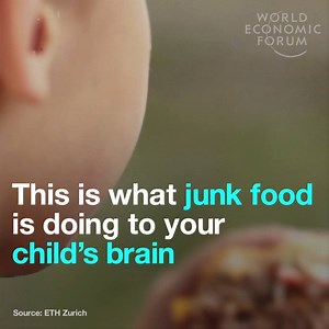 Junk food: convenient, but is it damaging to children's brains? Read more: http://wef.ch/2gTrlRh Source: ETH Zurich | World Economic Forum