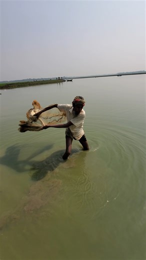 43K views · 234 reactions | Best Cast Net Fishing in Bills | Village 74 | Facebook