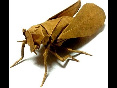 Origami - cicada (tutorial)