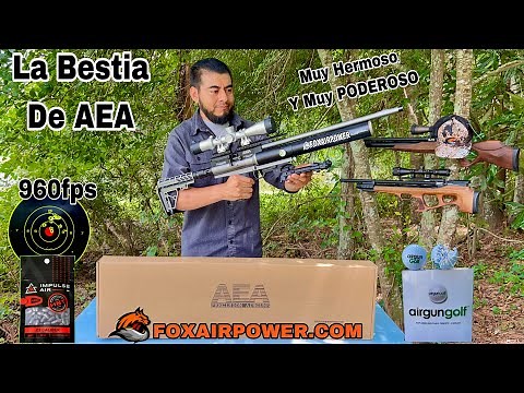 AEA Challenger Pro .22 A Monster Of PCP A Lot Of Power