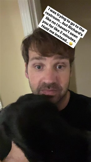 14K views · 687 reactions | Cats… | DecoExchange | Facebook