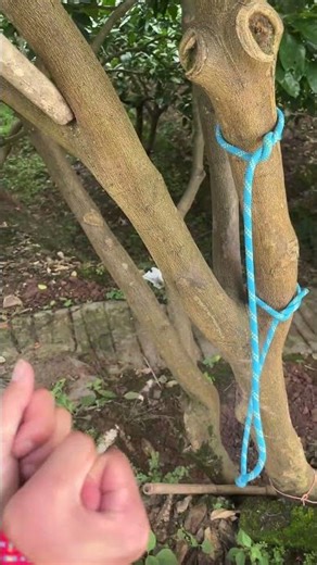 #knot Binding hands escape technique