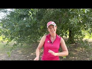 How to Teach Foal to Lead