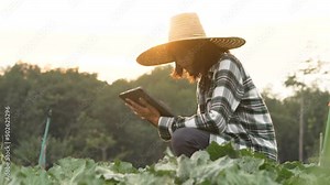 An Asian male farmer is using a tablet to store plant data in his farm. organic agriculture concept use of agricultural technology Stock Video