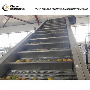 [Hot Item] Small Capacity Mango Sauce Processing Line