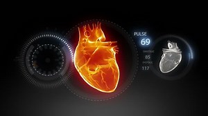 clip-1084258-human-heart-pulse-trace