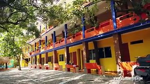 Hotel y Bungalows Posada Real en Rincon de Guayabitos. Un lugar ecológico único en su tipo en Guayabitos. Hotel ideal para relajarse mientras disfruta de la hermosa vegetación que lo caracteriza y lo distingue. Cuenta con una terraza techada traslucida para obtener el bronceado perfecto. Disfrute de su alberca con chapoteadero o bien deje que sus niños disfruten largas horas en el tobogán y para aquellos que desean olvidarse del estrés, pueden sumergirse en la relajante tina de hidromasaje Jacuz