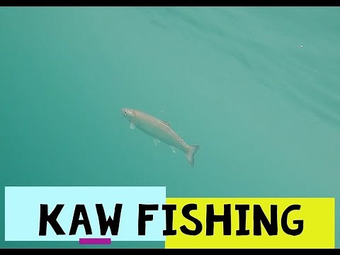 2020 Diablo Lake Trip Trout Fishing