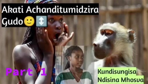 Zim Confessions Official (@1honestconfessions)’s videos with original sound - Zim Confessions Official