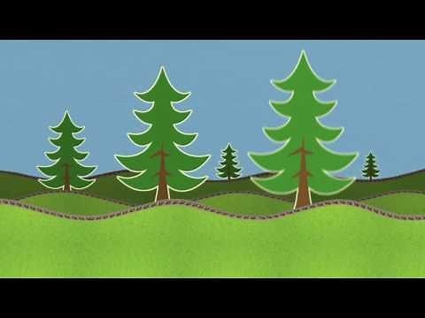 Georgia-Pacific Corrugated: A Sustainable Solution