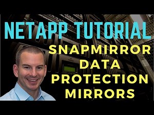 NetApp SnapMirror Data Protection Mirrors (new version)