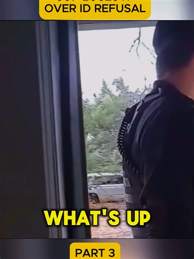 Cop Loses It Over ID Refusal #idrefusal #policefail #publicaudit #caughtoncamera #viralvideo