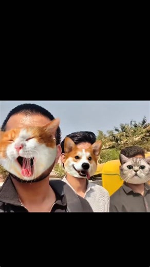 Shreyash Jain on Instagram: "First vlog 🤫 . . . . . #explorepage #comedy #trendingnow #fypppppppppppppppppppppppppppppppppppppppppppppppppppppppppppppppppppppp #foryou"