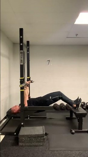 Inverted Hamstring Curl